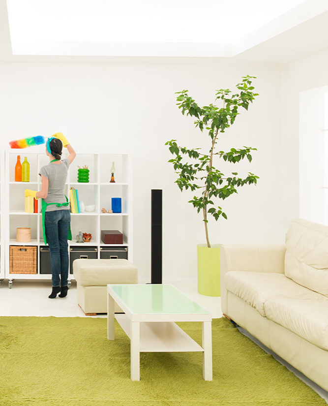 Клининг в Туле. Перечень выполняемых работ Перечень работ по уборке квартир, домов и офисов в Туле